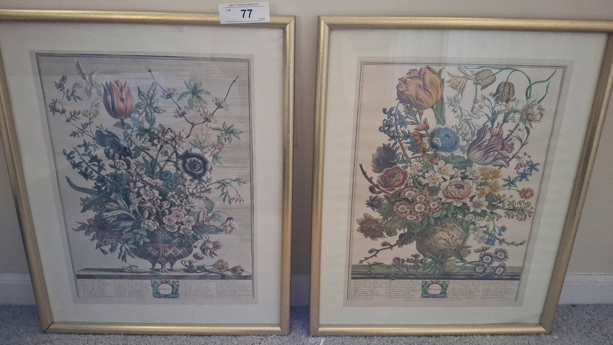 77 - Pair Framed Botanical Prints 17"×21"