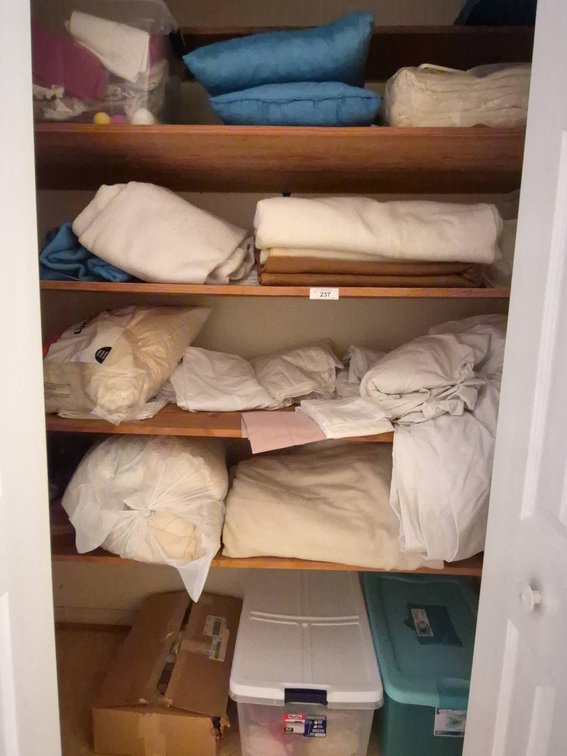 237 - Closet Lot: Linens, Pillows, Blankets, Storage Bins