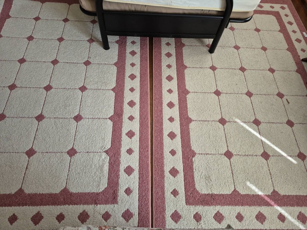 271 - Basic Concepts 60x91" Area Rugs, Pair