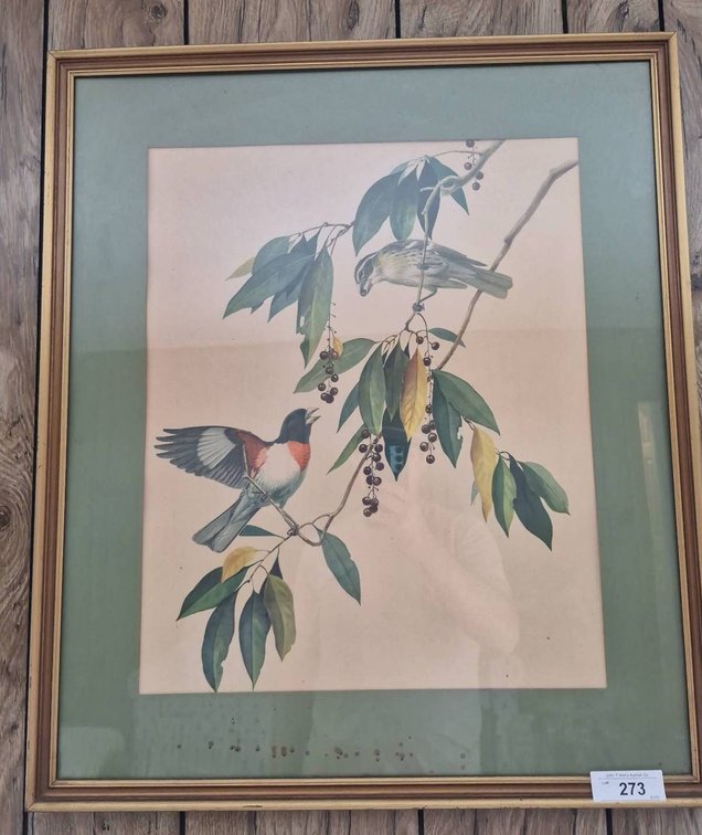 273 - Framed Bird Print with Green Mat 24x30"