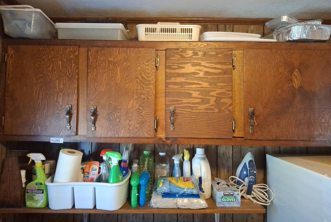 295 - Contents of cabinets Household Cleaners And Supplies