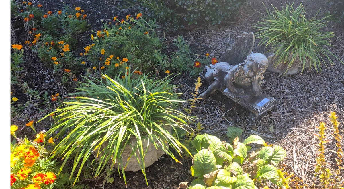 365 - Concrete Planters and Composite Angel Statue