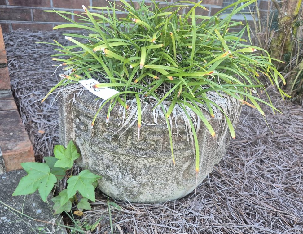 366 - Concrete Outdoor Planters