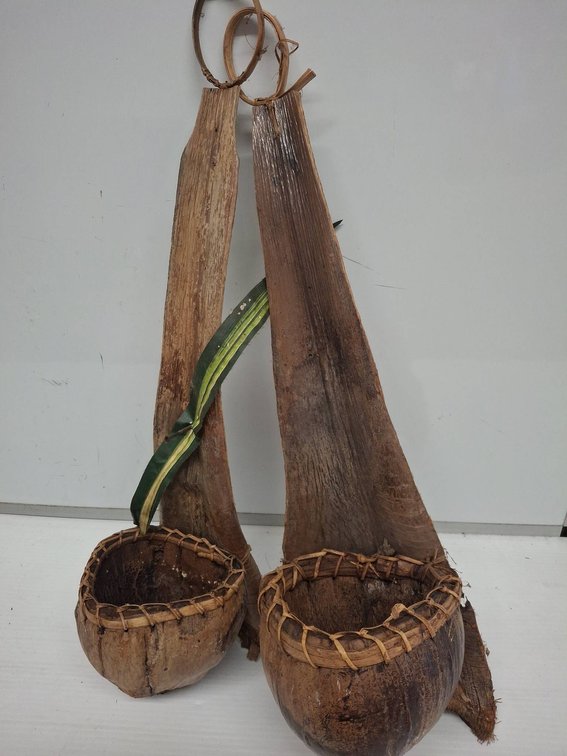 27-Inch Hanging Coconut Shell Planters