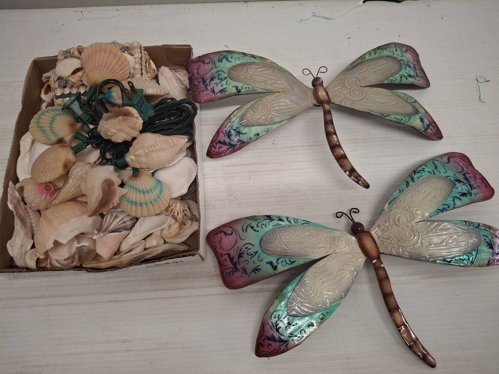 Dragonfly Wall Décor and Shell Collection Lot