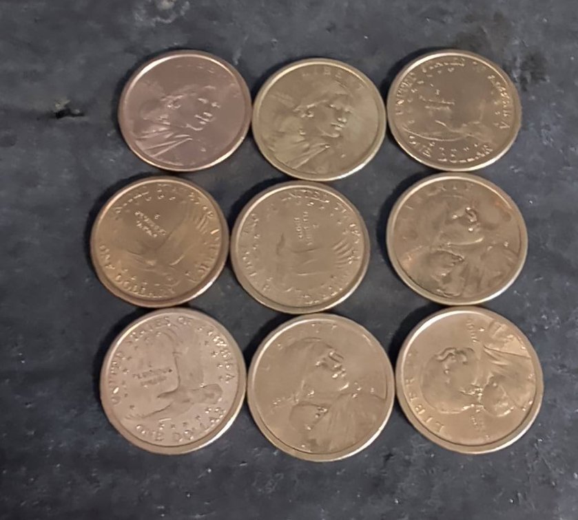 9 US Sacagawea Dollars.