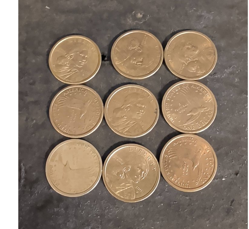 2000-P Sacagawea Dollar Coin Lot of 9