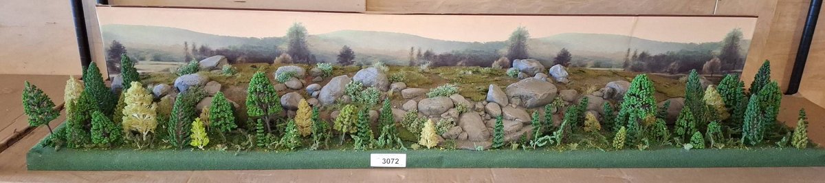 Scenic Diorama Forest Landscape 60x16