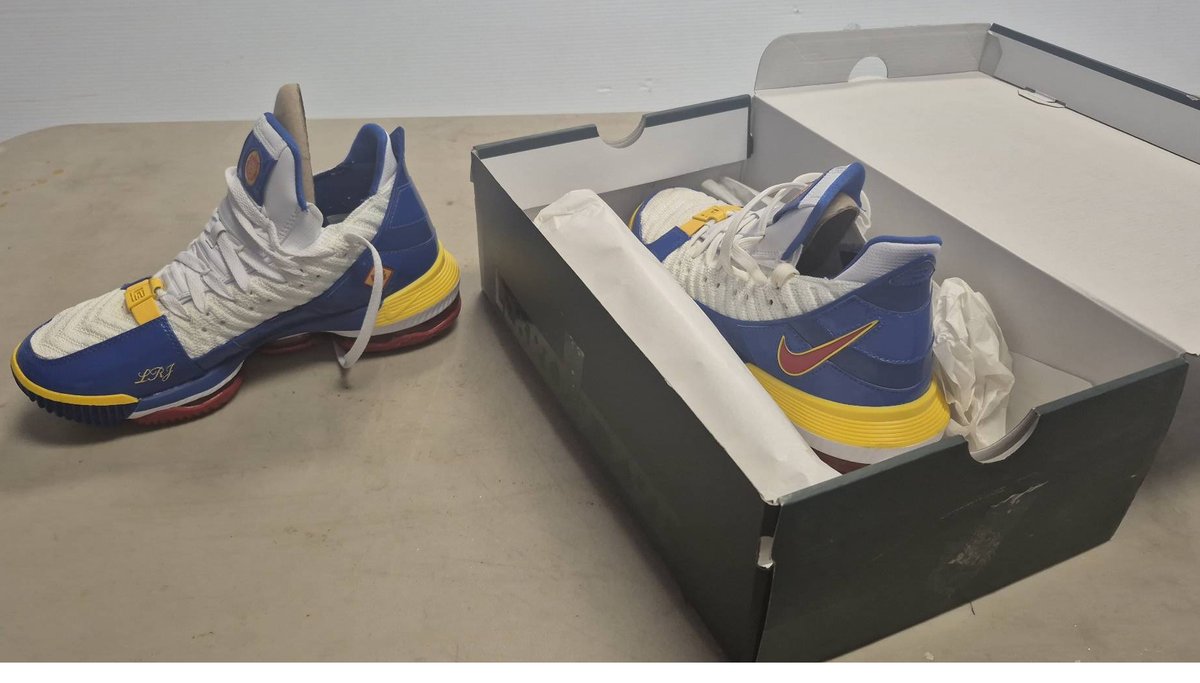 Nike LeBron XVI SB White/Varsity Red Shoes