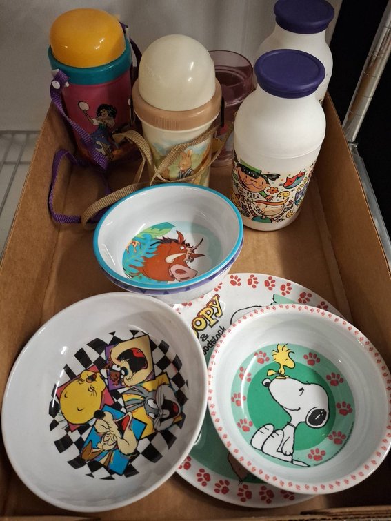 Character Bowls and Thermos Set
