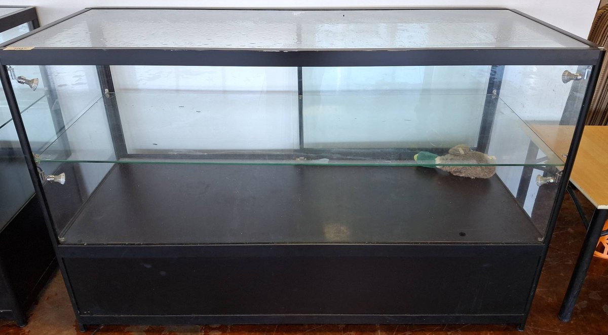 Glass Display Case 60x24x38 with Shelf and Locks