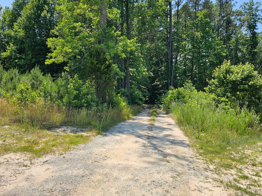 Image for Public Trustee Auction | 3 BR/2 BA Rancher on 5± AC | 1,456± SF | Zoned A-2 | 1473 Chestnut Grove Lane | Heathsville, VA