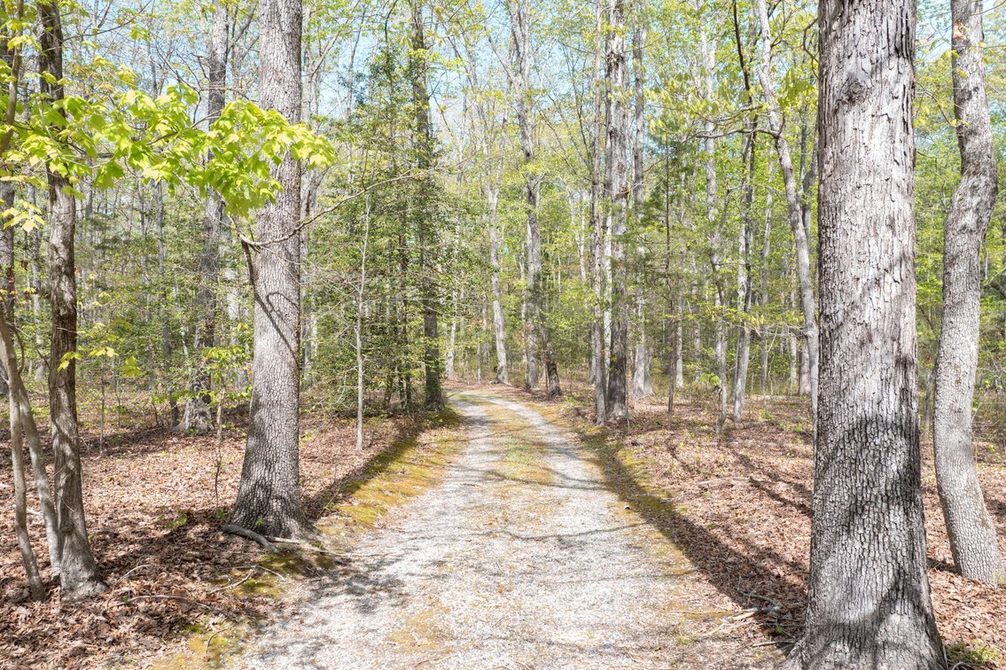 Image for Public Auction | Estate Settlement | 3 BR/2 BA Brick Rancher on 13.15 ± AC in Matoaca, VA | 1,586 ± SF of One-Level Living | 12610 Second Branch Road | Chesterfield County