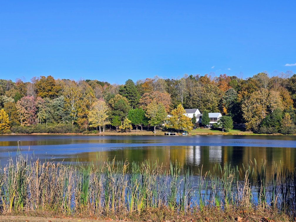 Image for SOLD! Absolute Auction | 18.71± Total Acres of Buildable Waterfront Property | Appraised $325,000 – Opening Bid Only $50,000! | 12.5 Miles East of Goochland Courthouse | 4063 Lively Lane, (Broad Street Road Frontage) | Goochland County | 23065