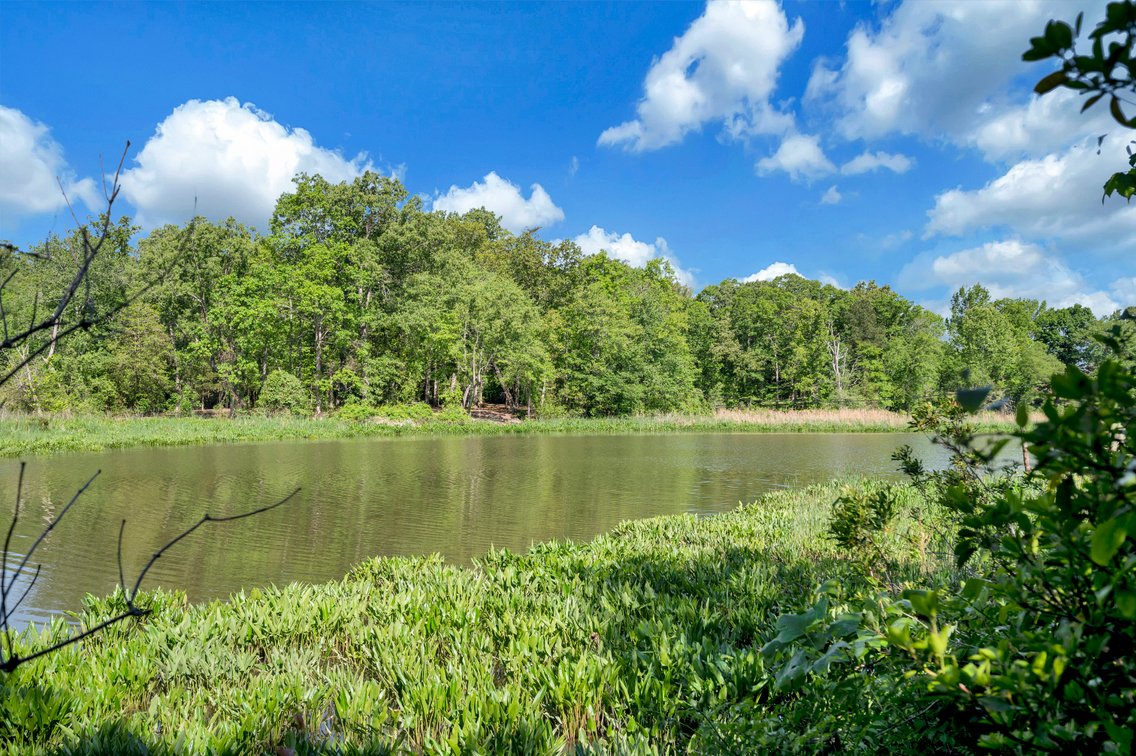 Image for Public Auction | Stafford County, VA | Waterfront Home on Potomac Creek | 3.2 ± Acres | 3,470 SF with Stunning Views | Direct Water Access & Walkable to Community Boat Landing | Fully Finished Basement & Guest Apartment | 379 Wood Landing Road | 22405