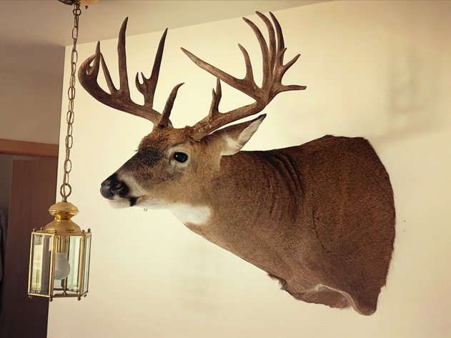 Image for Personal Property Auction