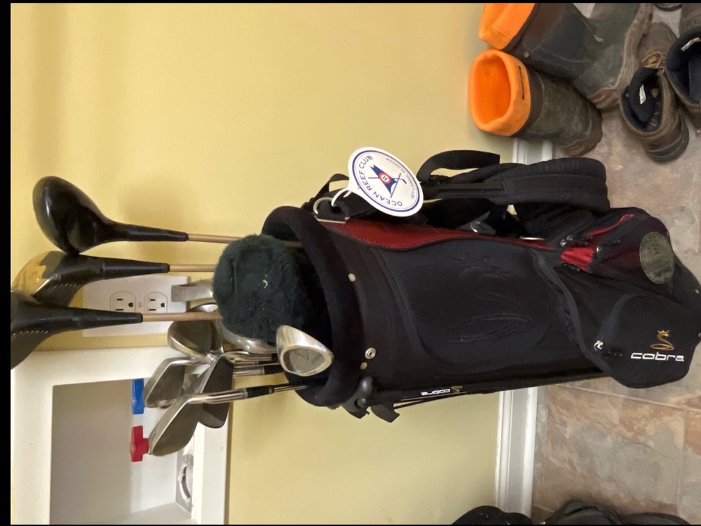 Cobra Golf Set