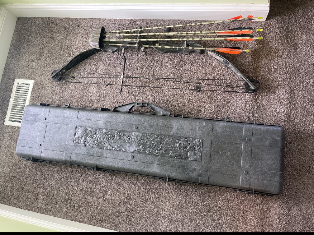 Bear Bow and Gun Case