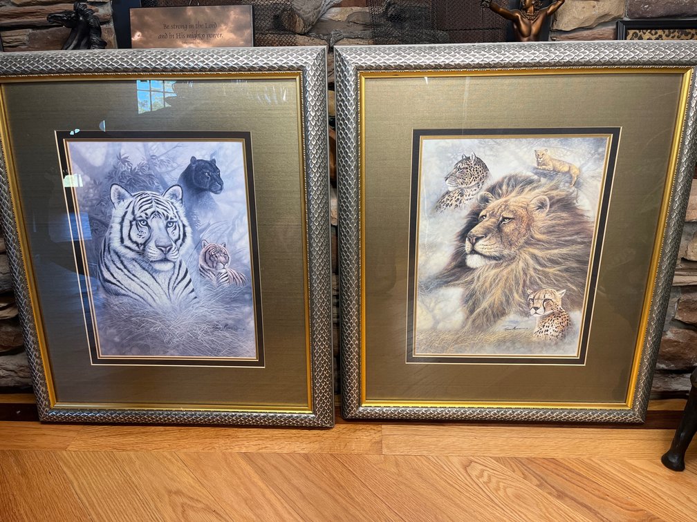 Ronnie Mannie Framed Safari Photos
