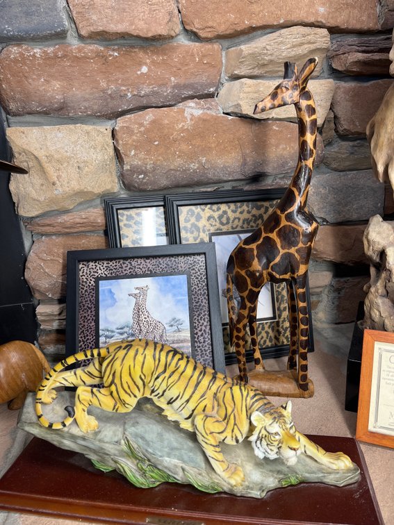 Safari Decor