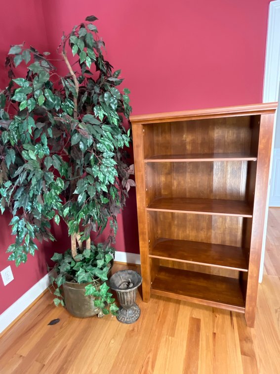 Bookshelf and Faux Tree