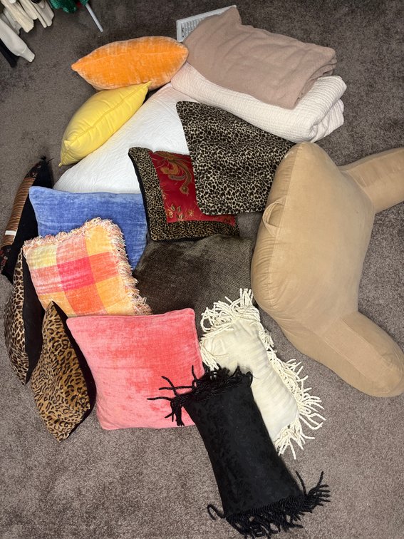 15 Decorative Pillows and 2 Blankets