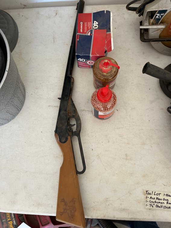 Daisy Buck BB Gun