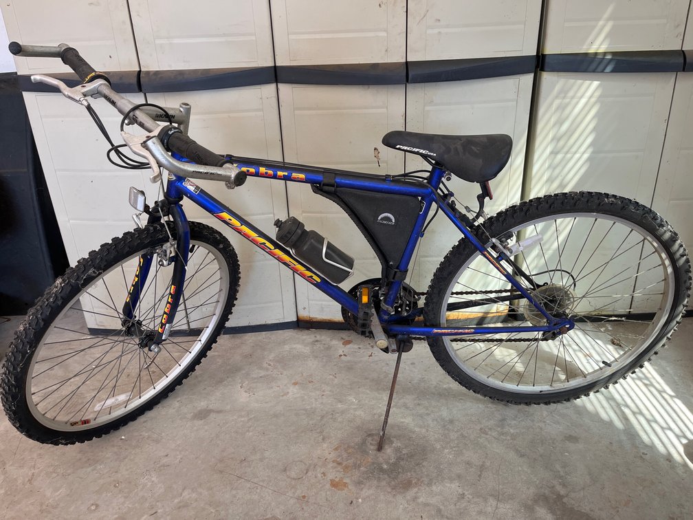 Cobra Bike