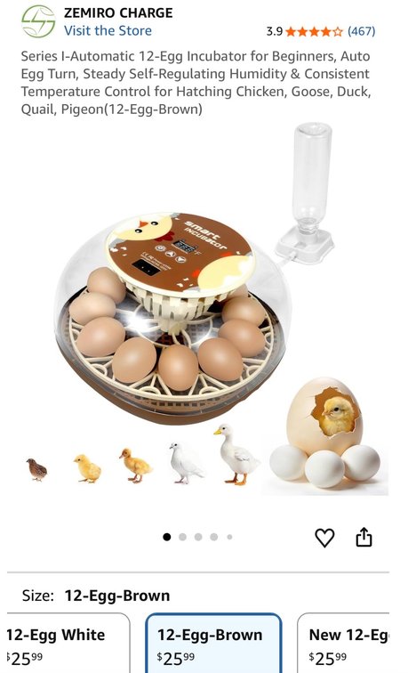 ZEMIRO CHARGE 12-Egg Automatic Incubator - Est. Retail $25.99