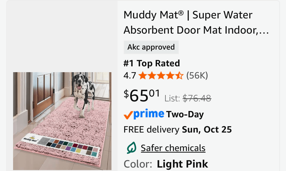 Muddy Mat Absorbent Door Mat, Light Pink - Est. Retail $76