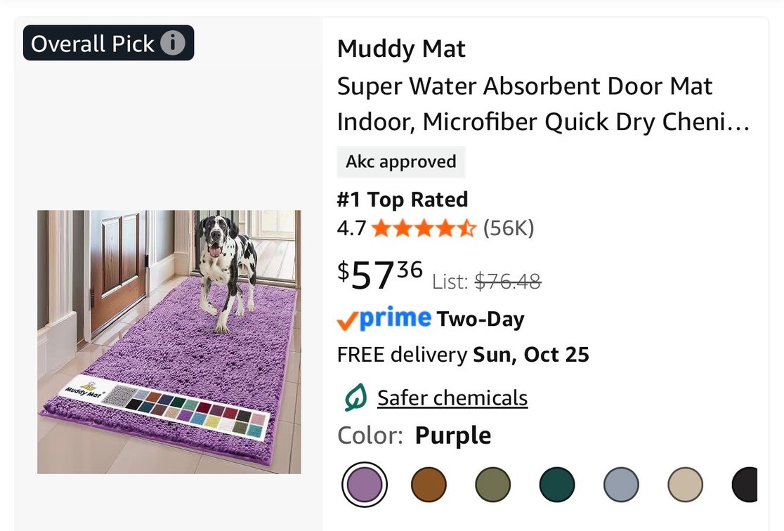 Muddy Mat Microfiber Door Mat - Est. Retail $57