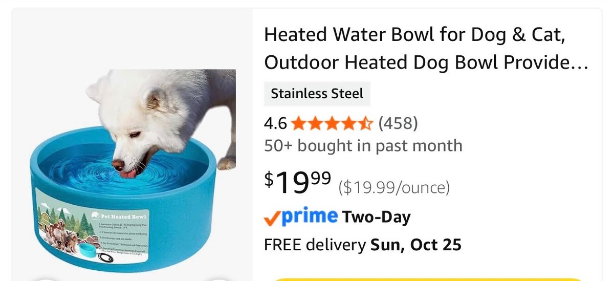 Pet Heated Water Bowl - Est. Retail $19.99