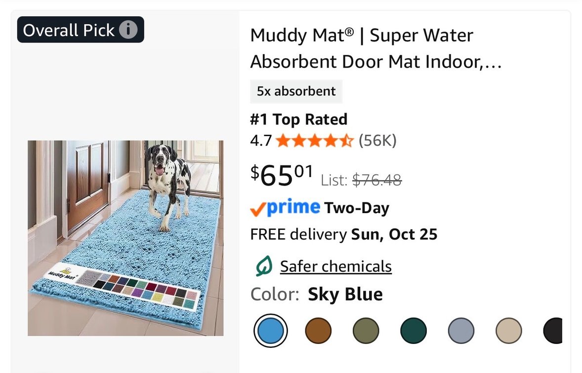 Muddy Mat Absorbent Door Mat, Sky Blue 24x60- Est. Retail $65