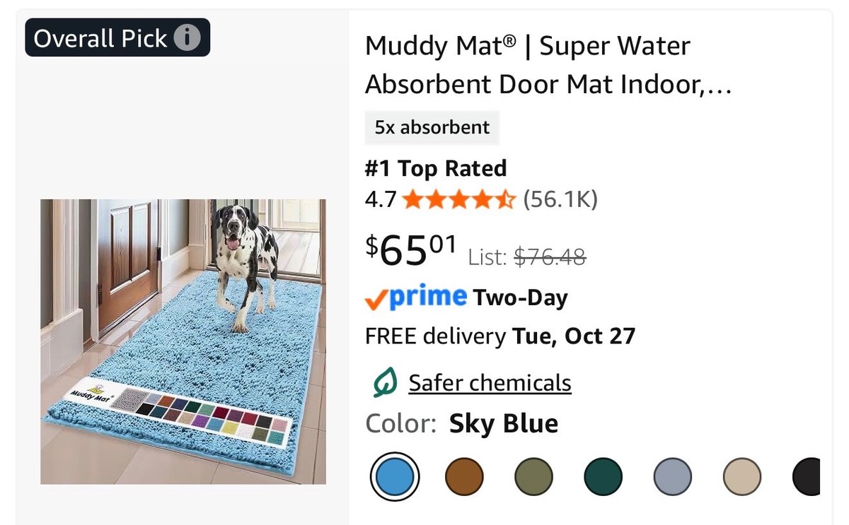 Muddy Mat Super Absorbent Door Mat 24x60 Sky Blue - Est. Retail $65