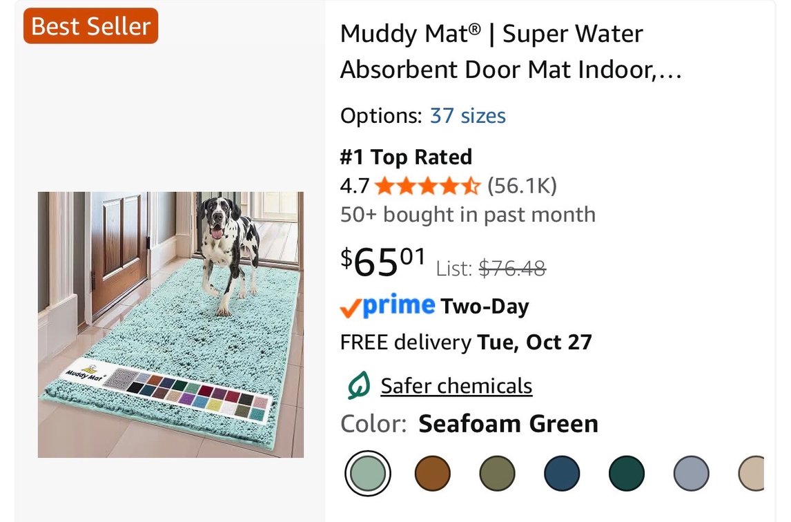 Muddy Mat Absorbent Door Mat Runner 24x60- Est. Retail $76