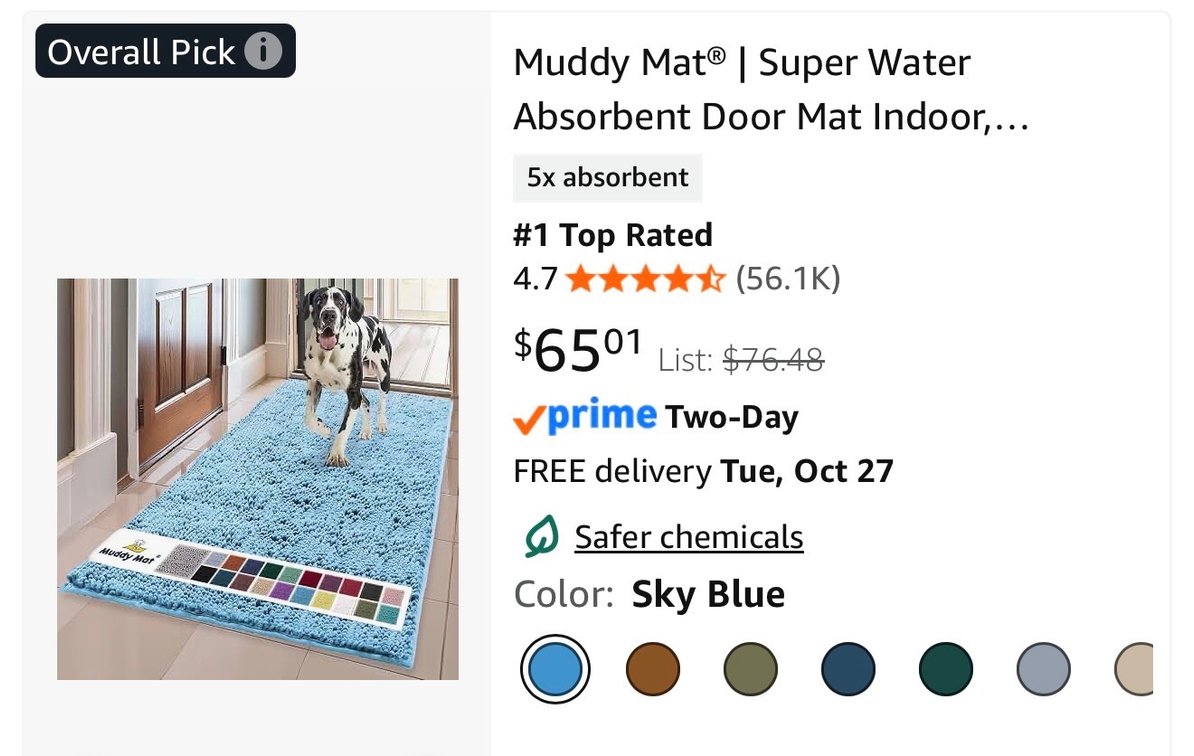 Muddy Mat Absorbent Door Mat 24x60, Sky Blue- Est. Retail $65