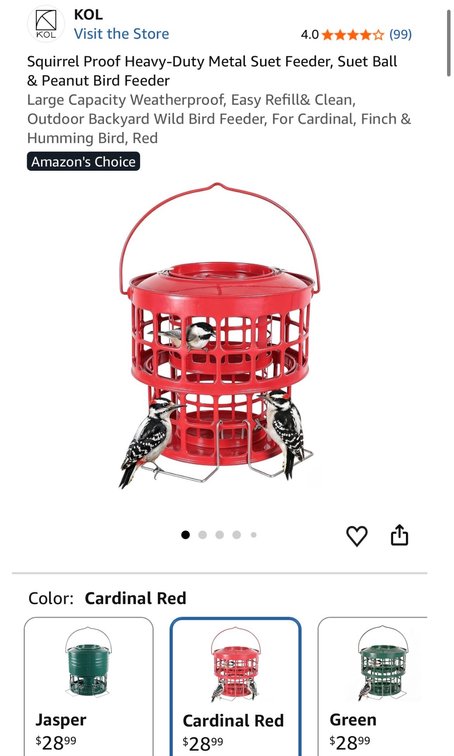 Squirrel-Proof Metal Suet Bird Feeder - Est. Retail $28.99