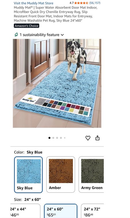 Muddy Mat Chenille Entryway Rug, Sky Blue, 24 x 60 in - Est Retail $65