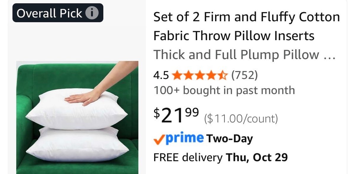 Set of 2 Cotton Fabric Throw Pillow Inserts- Est. Retail $21.99