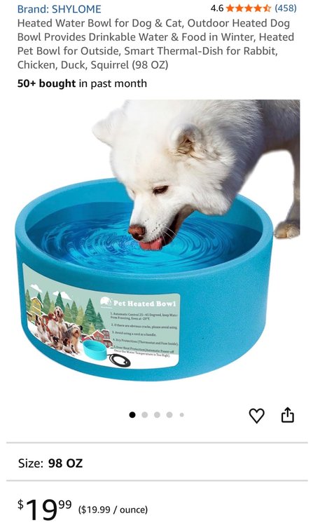 Blue 98 oz Heated Pet Water Bowl - Est Retail $20
