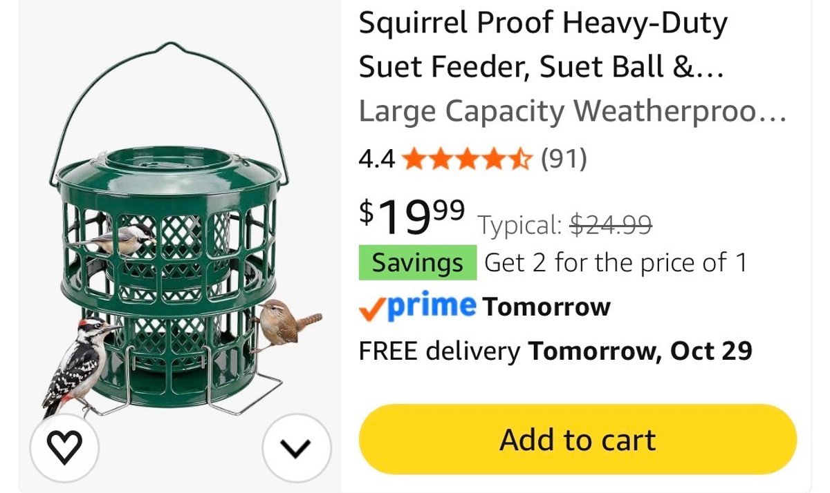 Squirrel-Proof Heavy-Duty Suet Feeder - Est. Retail $25