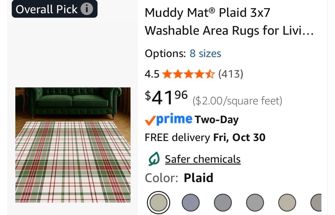 Muddy Mat Plaid Washable Area Rug 3x7- Est. Retail $41.96