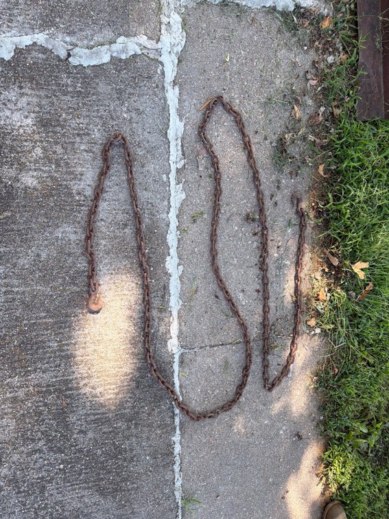 20 ft Log Chain