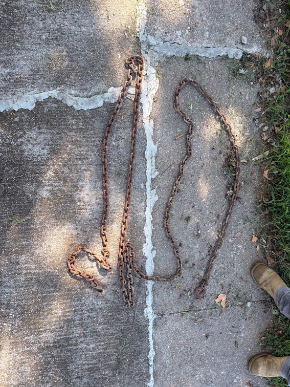 20 ft Log Chain
