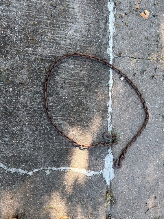 8 ft Log Chain
