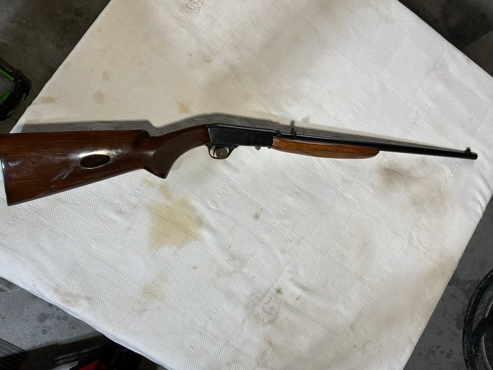 Interarms Model 22 ATD Semi-Automatic Rifle