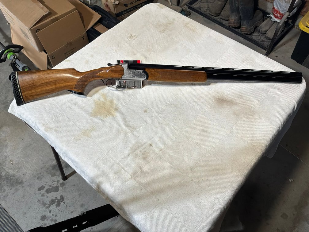 D. Sturdy Over/Under Shotgun – 12 Gauge