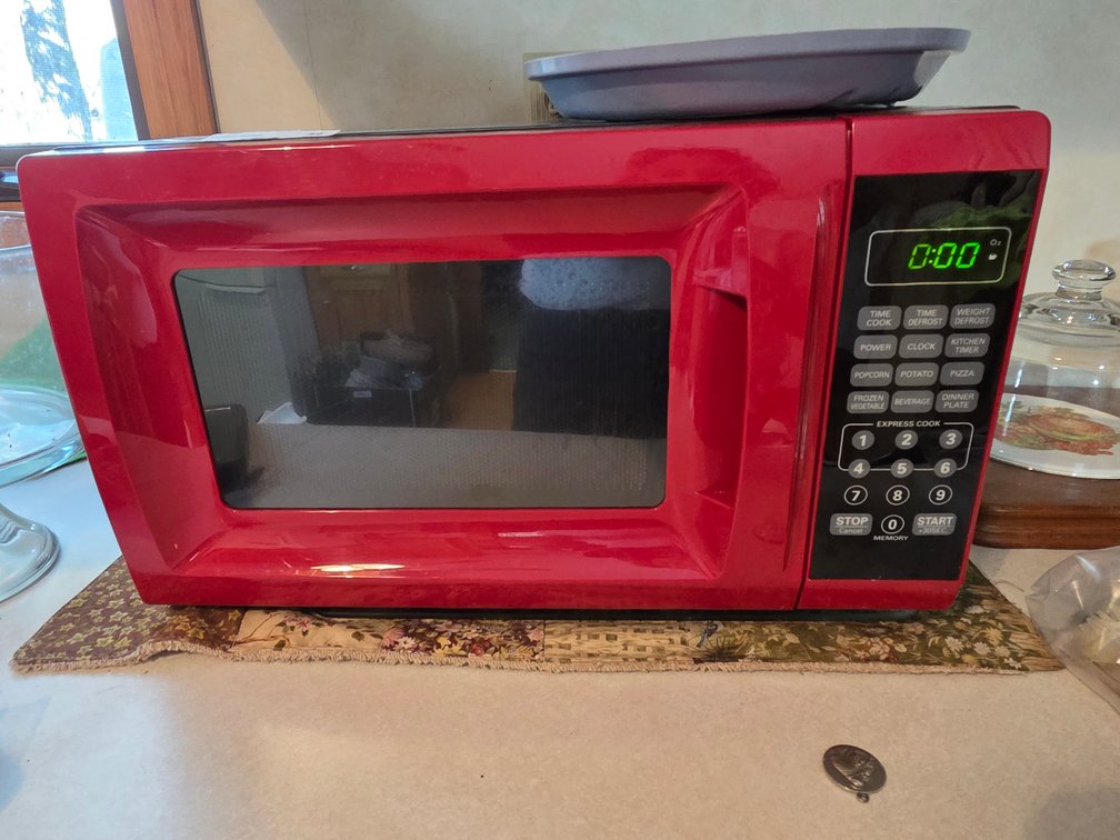 Red Microwave (17"x12")