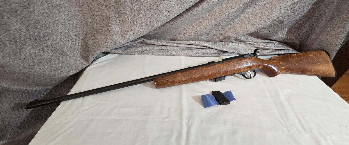 Marlin Model 80-DL .22
