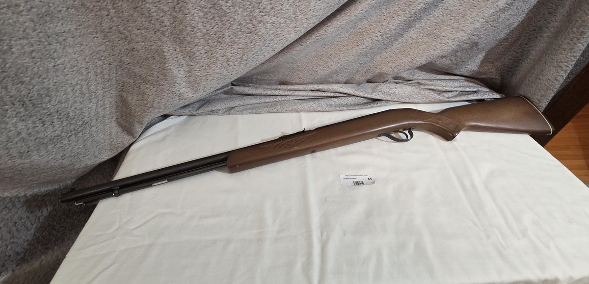 Savage/Hiawatha Model 587 .22LR Ser#R670475